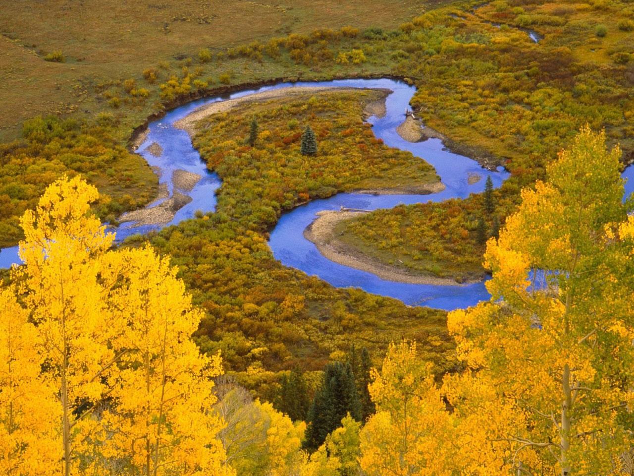 [TreeAutumn+(15).jpg]