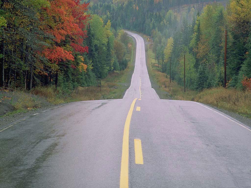 [TreeAutumn+(20).jpg]