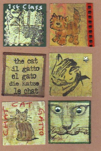 [cat+inchies.jpg]