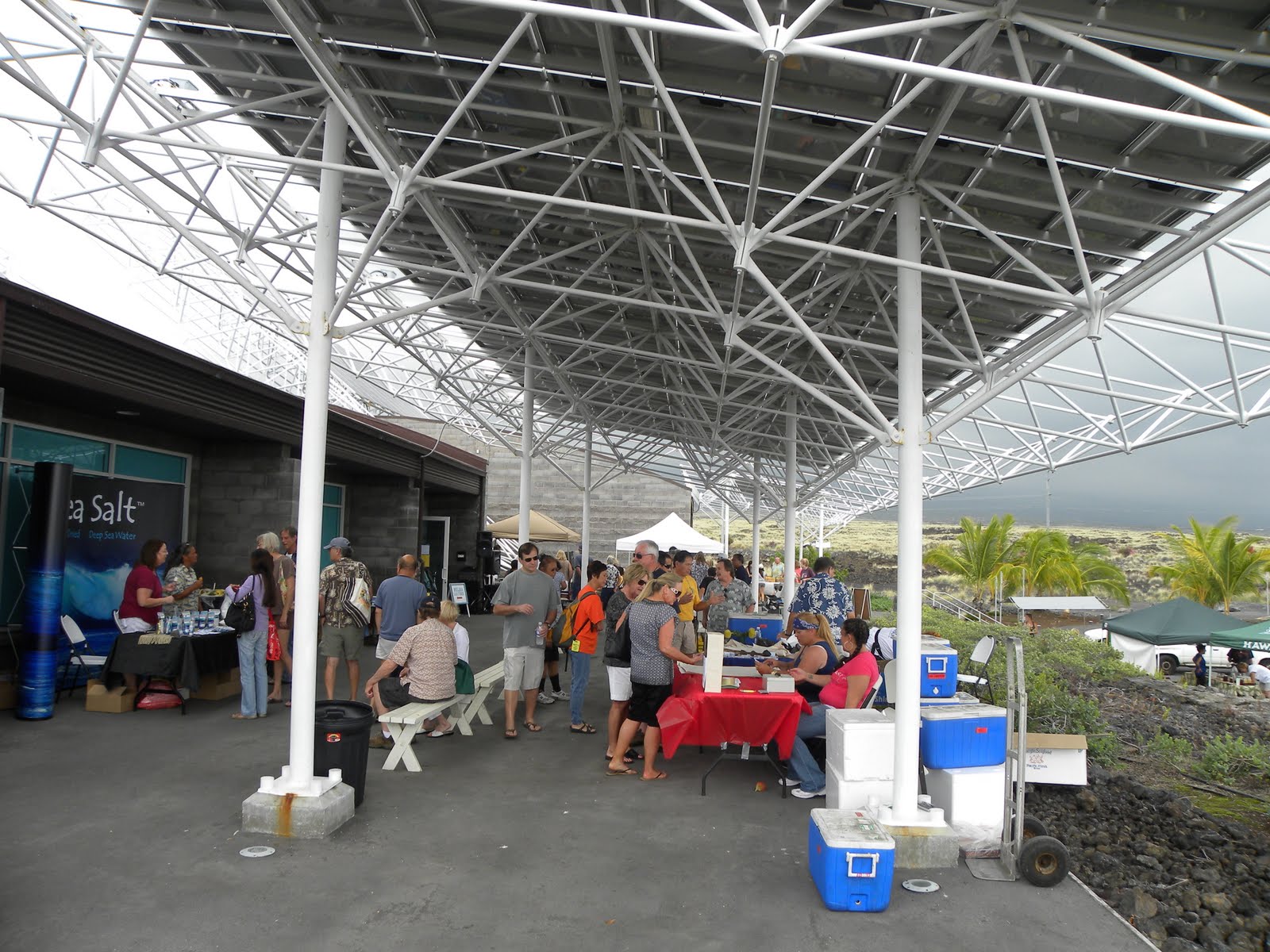 My Hawaiian Home Seafood Farmer's Market in Kona