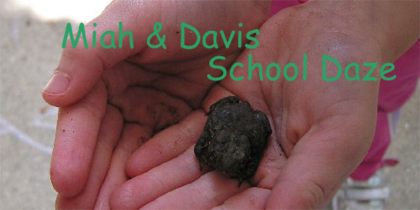 Miah & Davis Homeschool