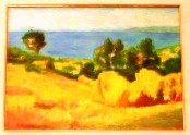 [DSCN9300-paesaggio+giallo.JPG]