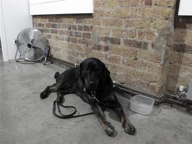 [Grace+London+10.jpg]