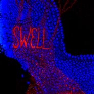 [swellcover1.jpg]
