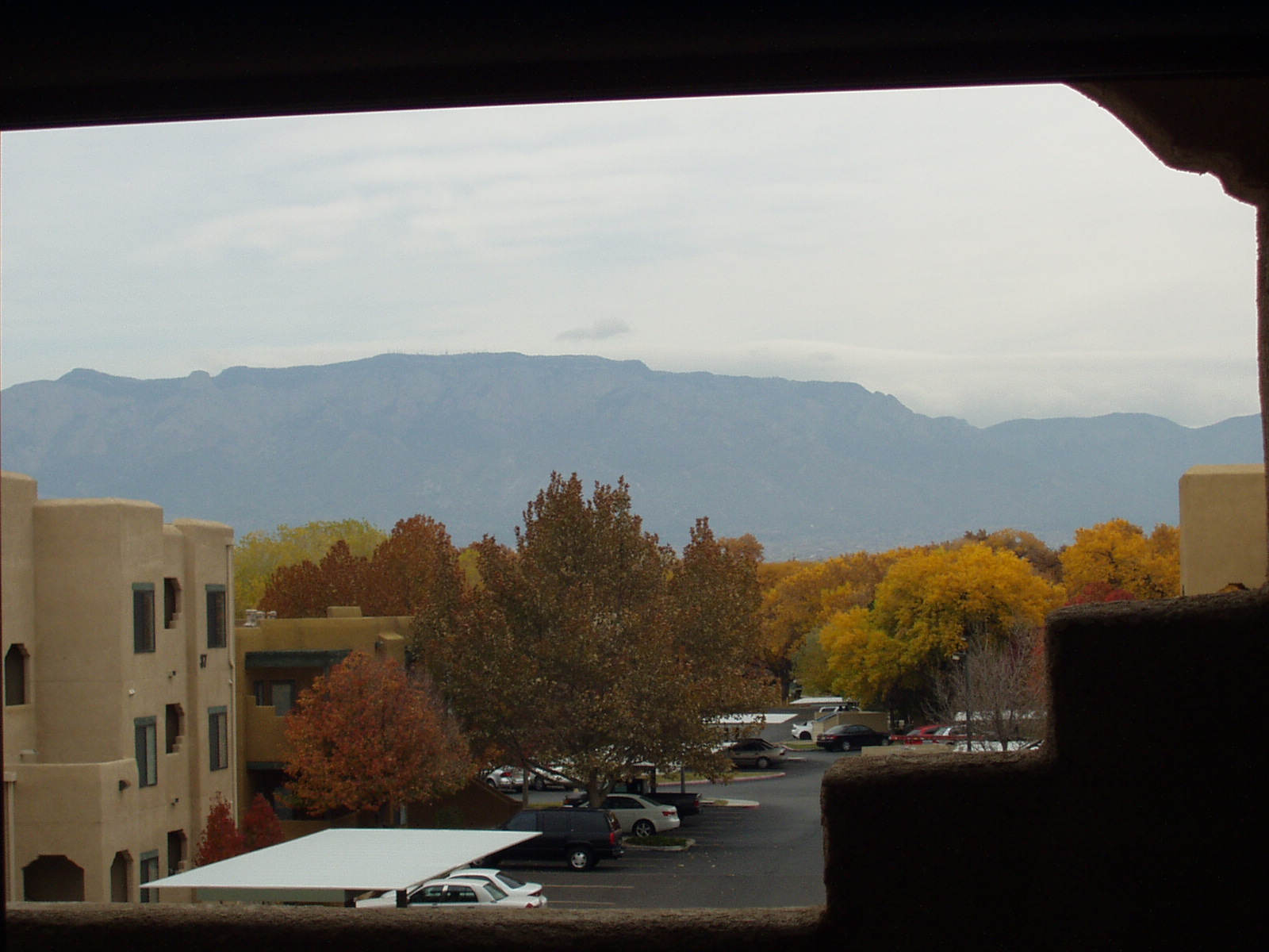 Building our Adobe Home 2009