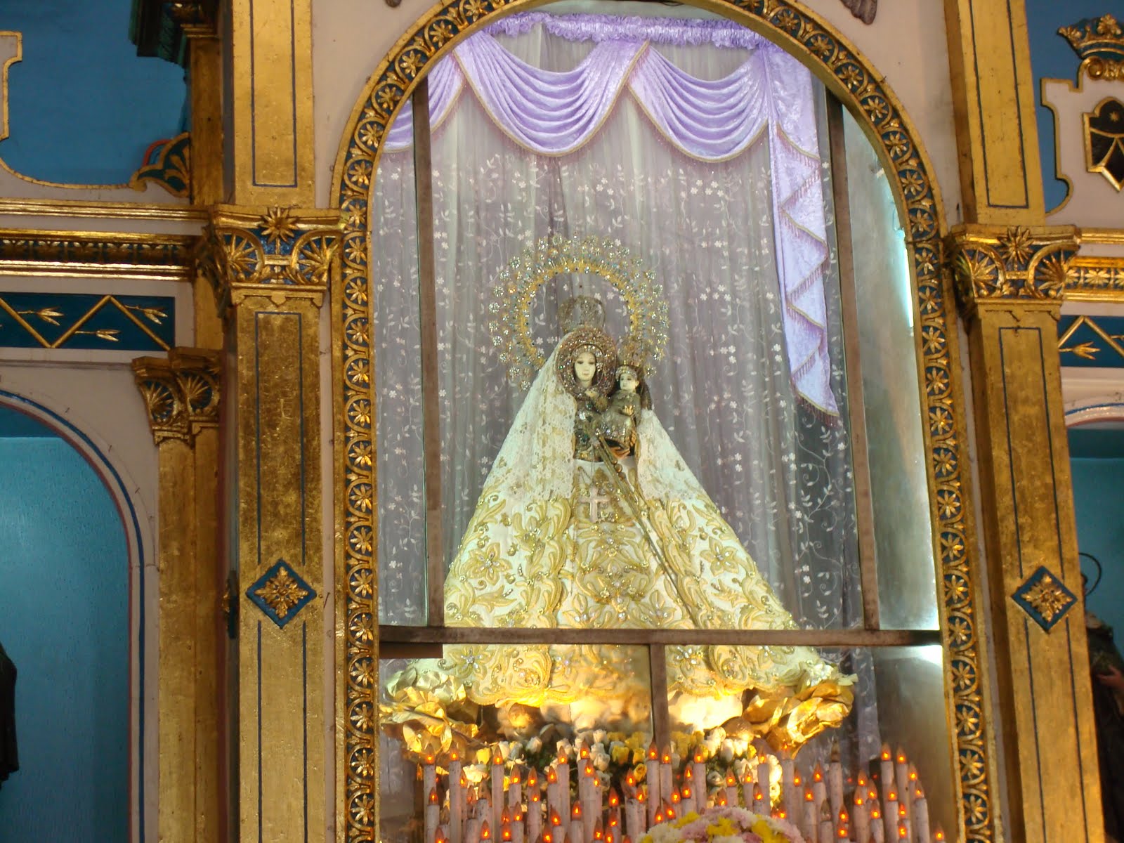 Red Fox Photographs Diaries And Thoughts My Visit To Our Lady Of 