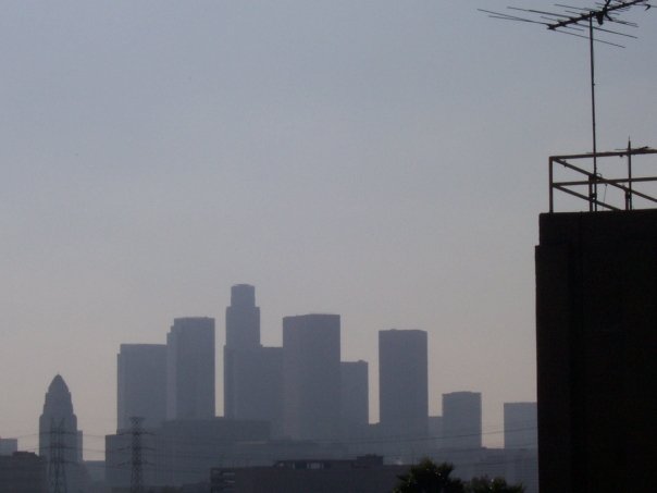 [n513427631_343871_613.jpg]