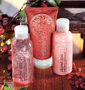 Himalayan Goji Berry