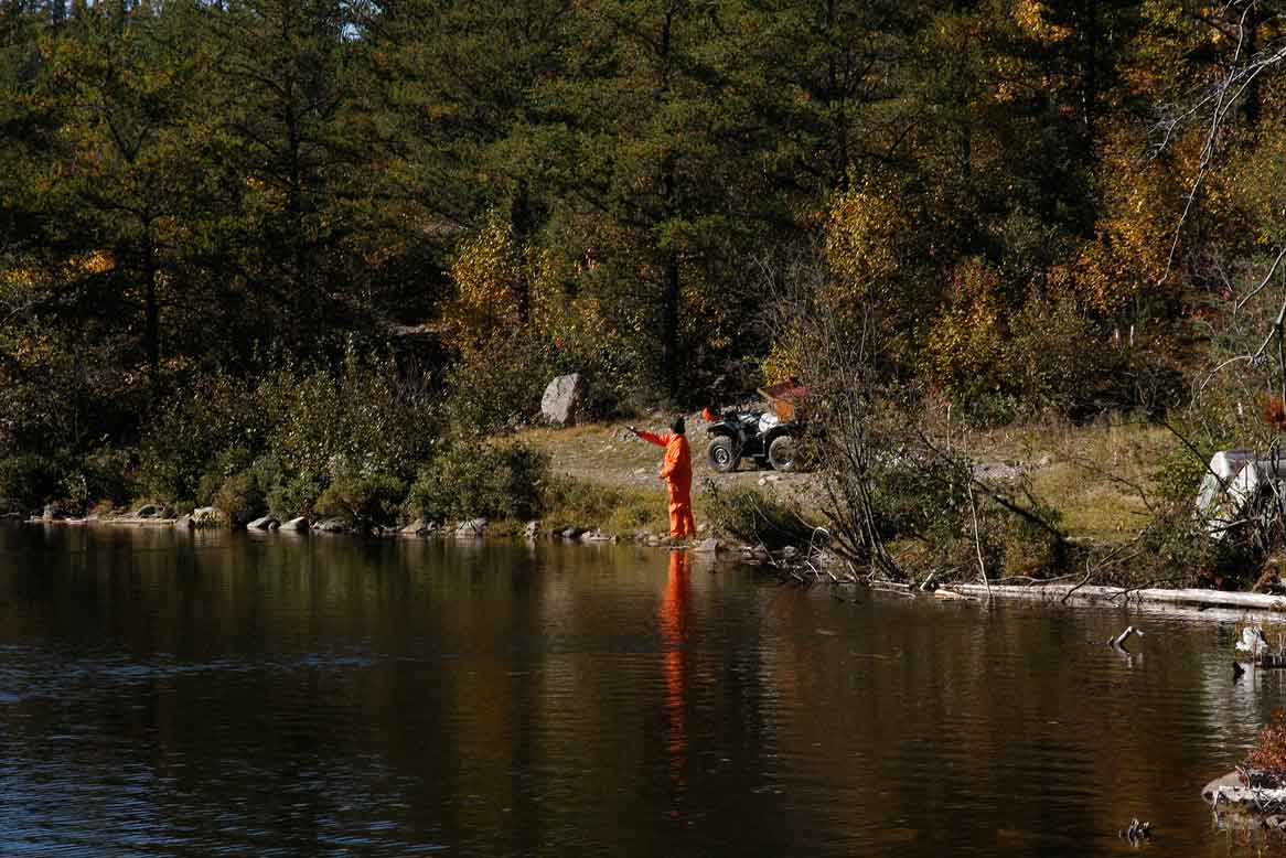 Gowganda Views Stumpy lake fall colours