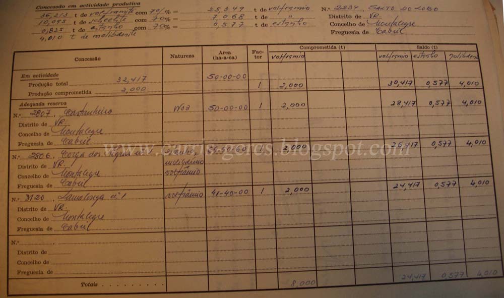 [CIMG7193+blogue.JPG]