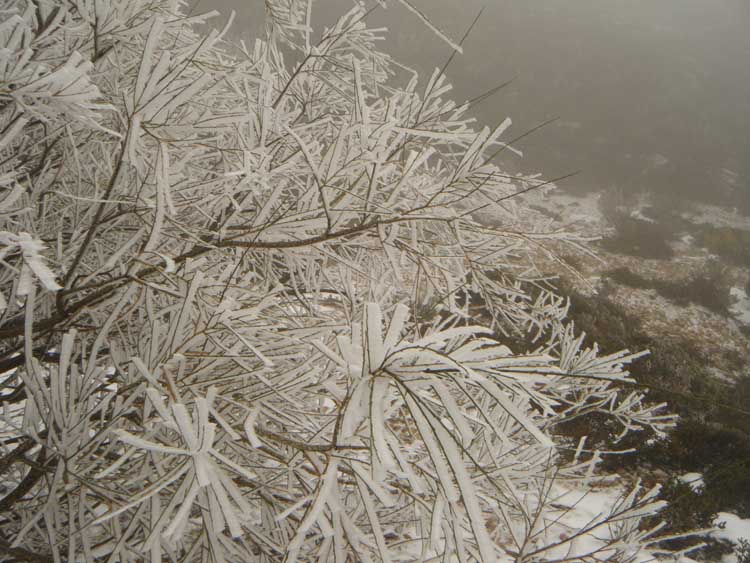 [DSCF2654blogue.jpg]