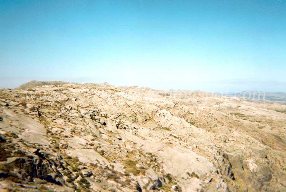 [Carris+14Ago94+08a.jpg]