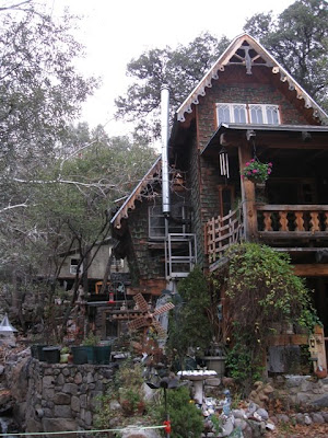 Shorebirder Ca Az Day 7 Feb 21 Florida Canyon Madera Canyon