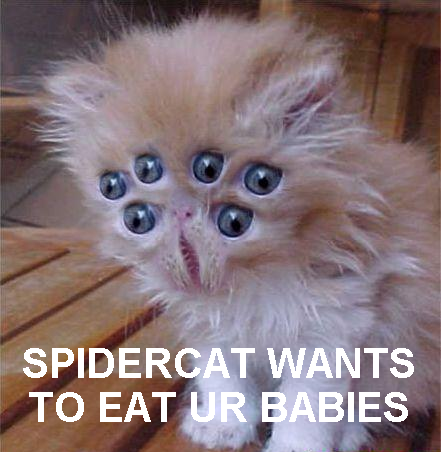 spidercat.png