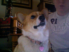My Killer Dog!