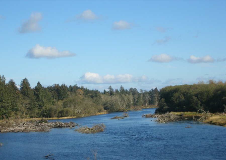 Ocean In View October 2008