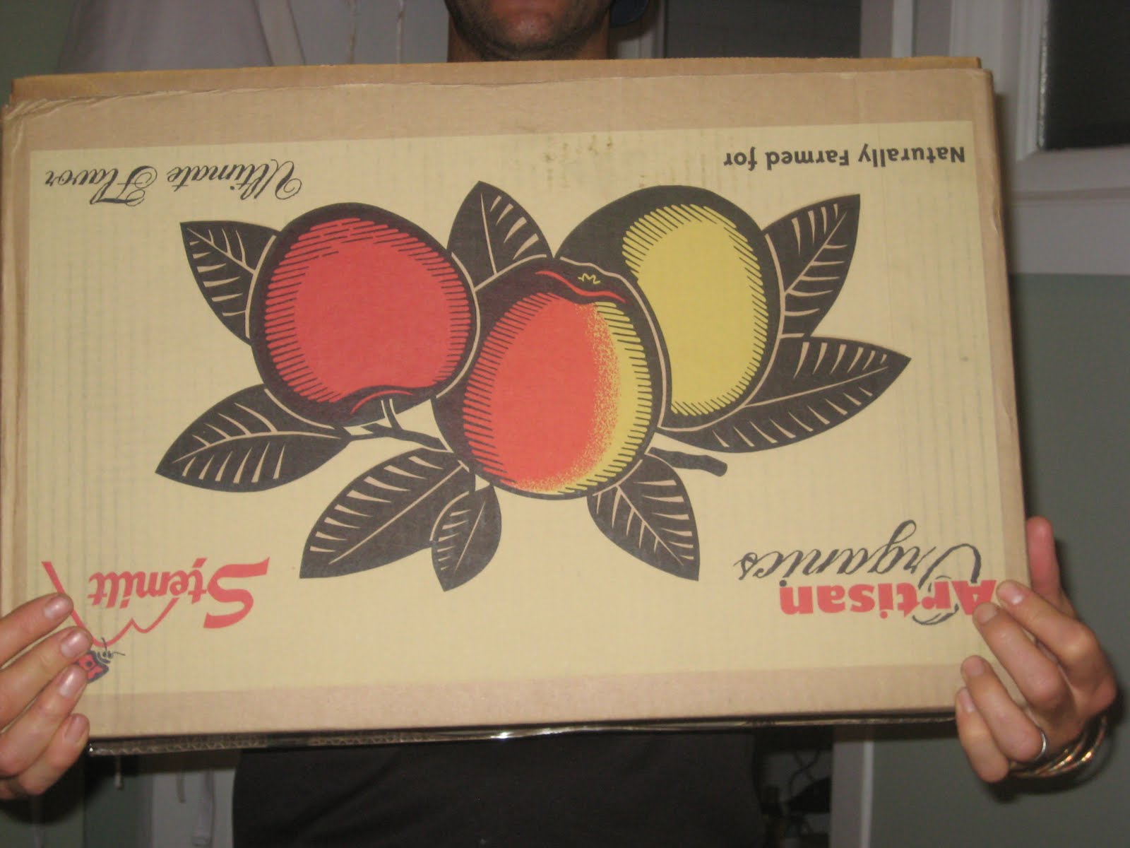 The Delicious Truth Can an Empty Apple Box Be Toxic?