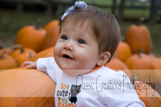 Classic Creations Photography: Pictures in the Pumpkin Patch