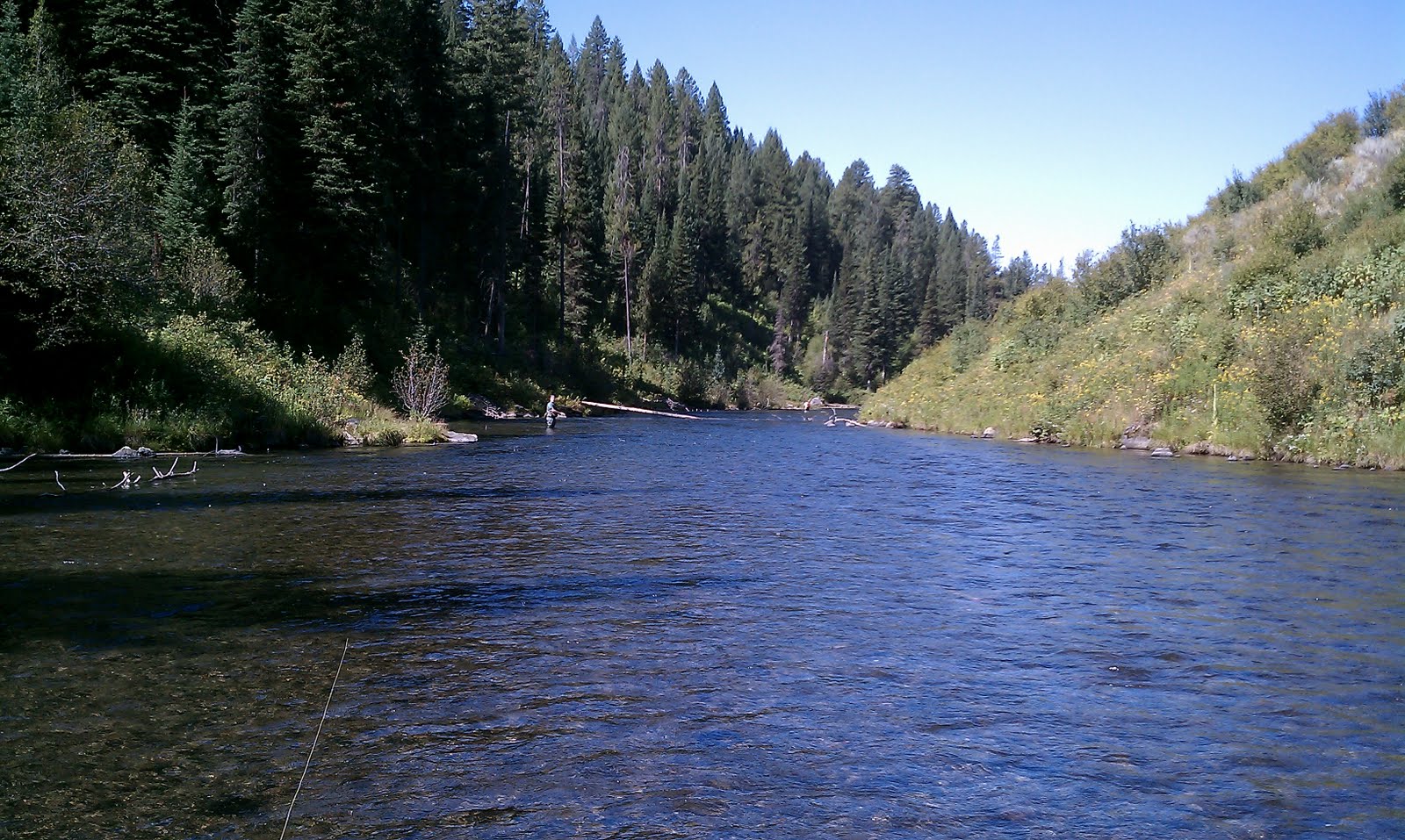 theredflycaster Warm River, Idaho