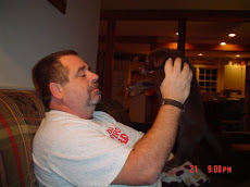 Chocolate Lab Puppies...last litter..