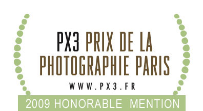 [PX3-Honors-logo-09.jpg]