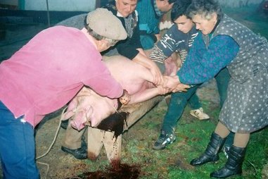 [Digitalizar0011[1].jpg]