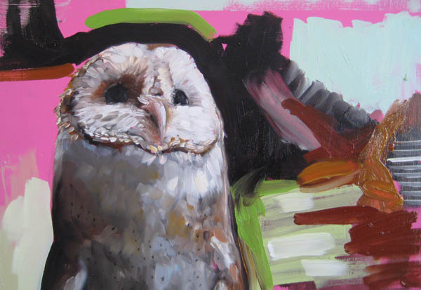 Heidi Daehler`s Barn Owl
