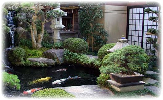 Koi Pond Dwight Schrute 7