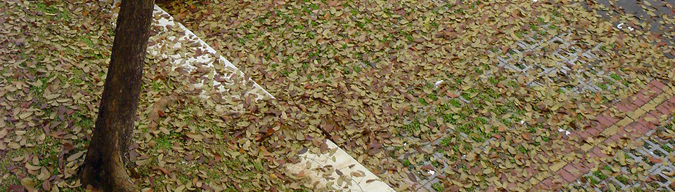 [DSC04564.JPG]