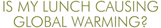 Robin Plotkin, RD, LD | My Lunch Is Causing Global Warming!