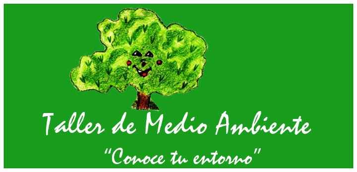 Taller medio ambiente