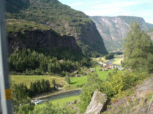 Tren de Flam