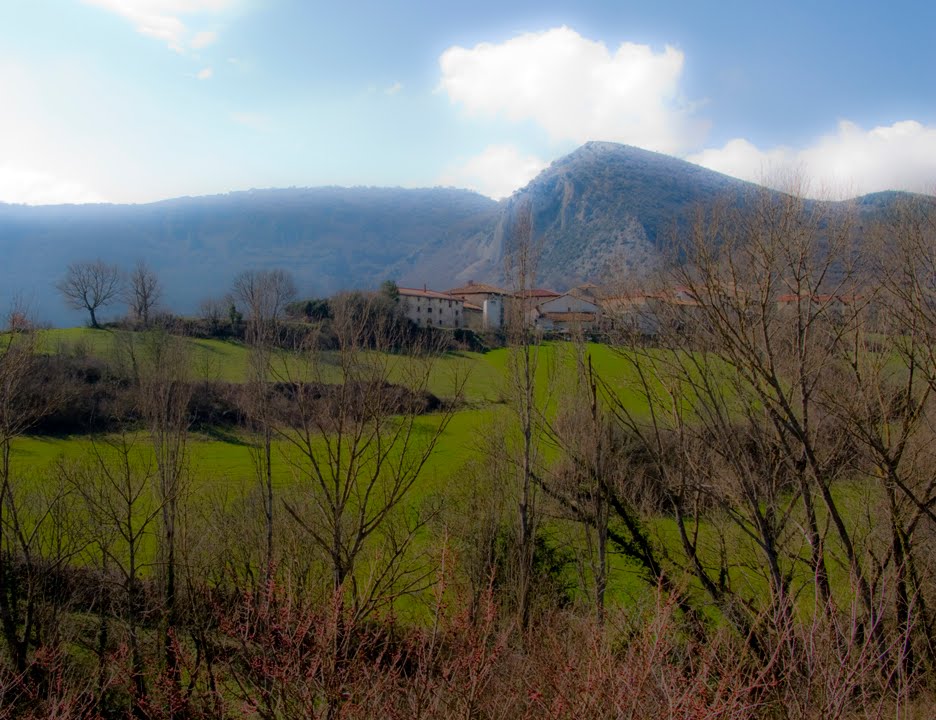 ANDRES MARTINEZ LORRIO VALLE DE GOÑI (NAVARRA)