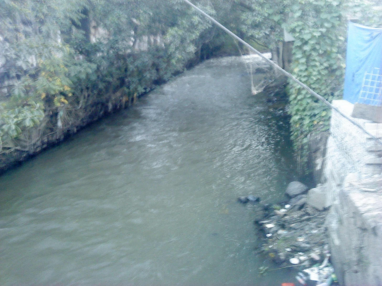 Consecuencias De La Contaminación Del Río Mololoa rossmeritta.blogspot.com