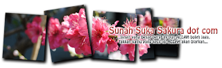Sunah Suka Sakura dot com