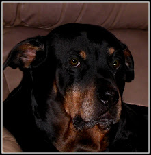 My serious girl Sophie