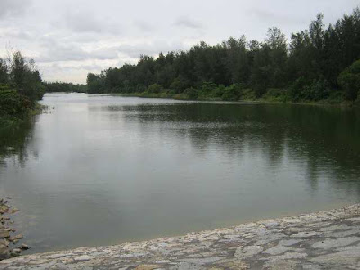 Singapore Walking Routes From Seletar to Punggol via Pulau Punggol