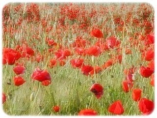 Que inmensa es esta paz, respiro de tu aire cada día más