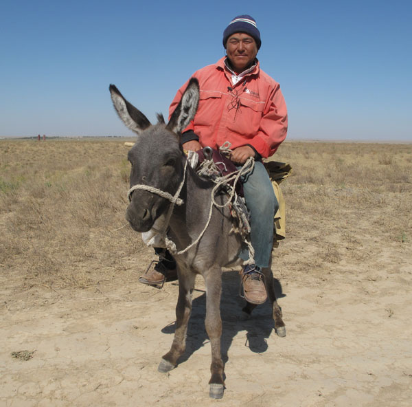 The Long Horse Ride Blog Donkey Work