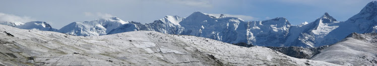 Un boliviano perdido en Japón
