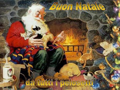 Immagini Natalizie Con Animali.Amici Di Chicca Buon Natale Da Tutti I Pelosetti