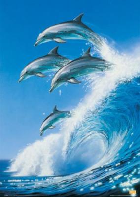 [Maxi-Posters-Born-free-71831.jpg]