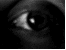 [00279-g.w.augen10.gif]