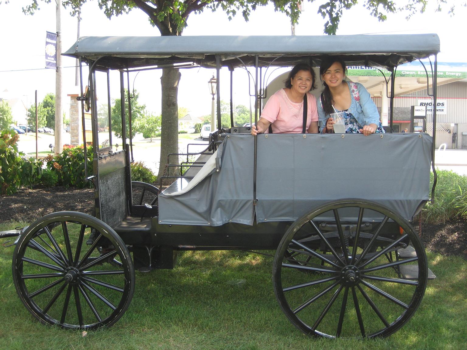 Wei&Chin Authentic Amish Buggy