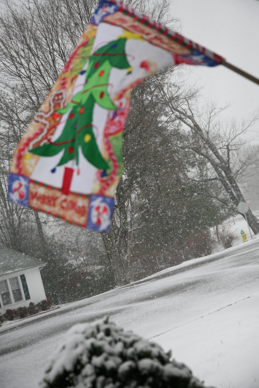 One Sweet World: On the 12th Day Of Christmas&hellip;