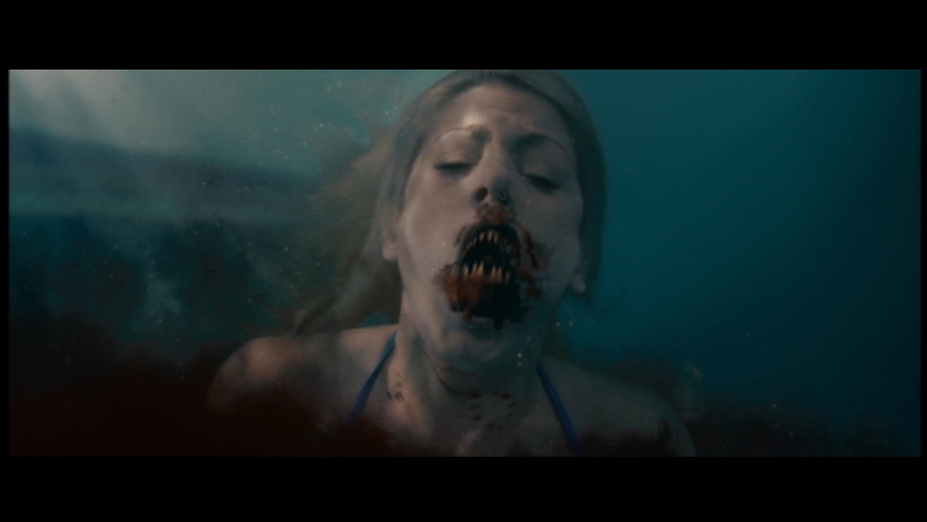 Happyotter: PIRANHA (2010)