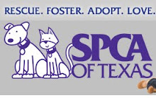 We support the SPCA!