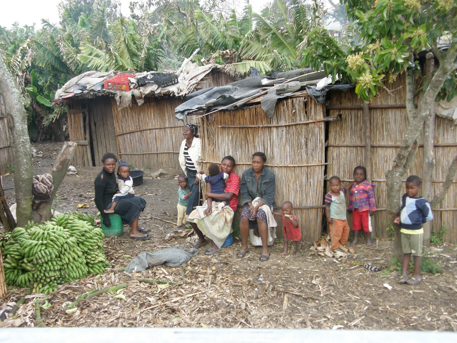 [Monzi+Cape+054.JPG]