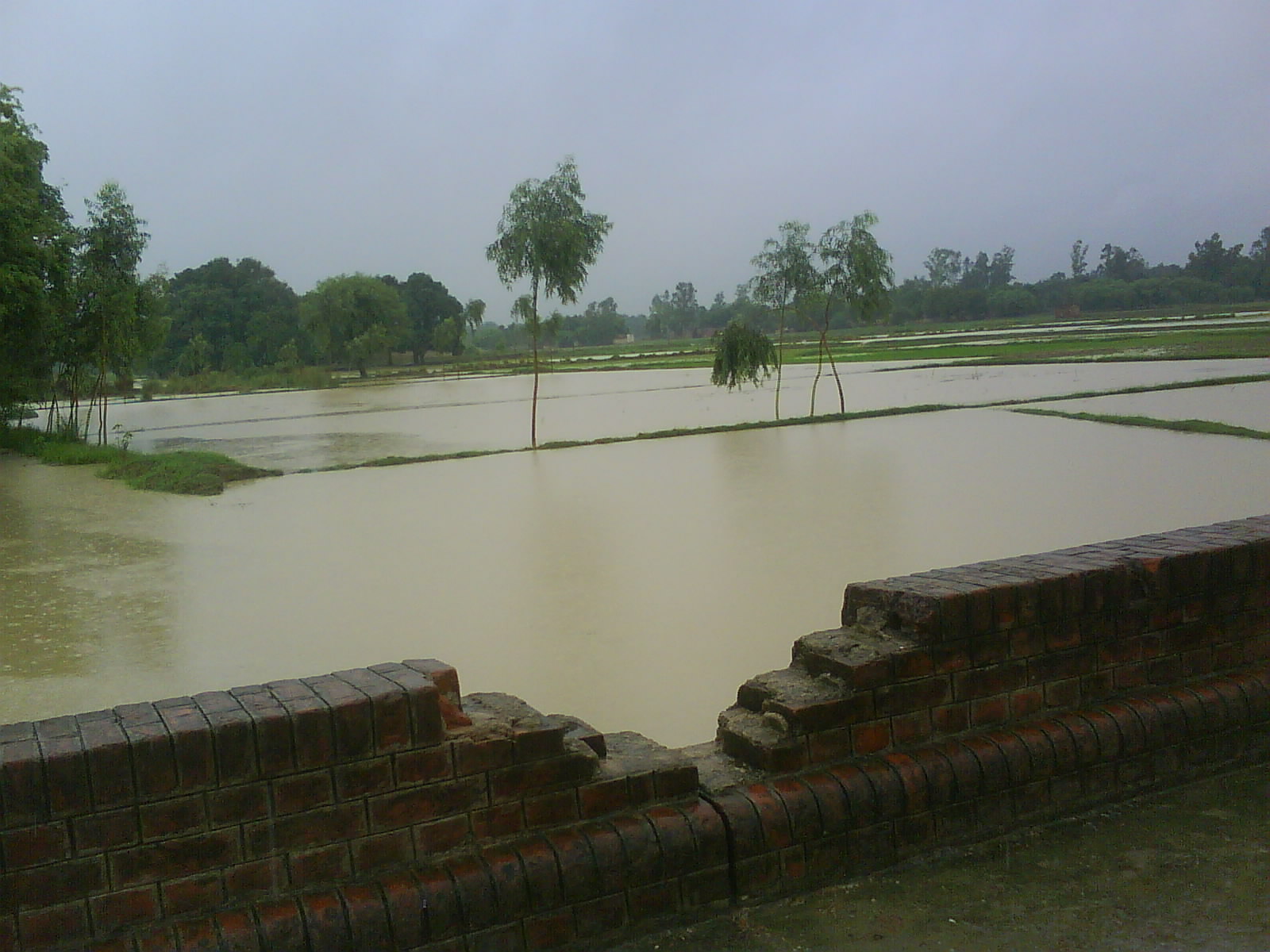 Treat Children&rsquo;s Monsoon Diarrhea With Homeopathy « Use Homeopathy And