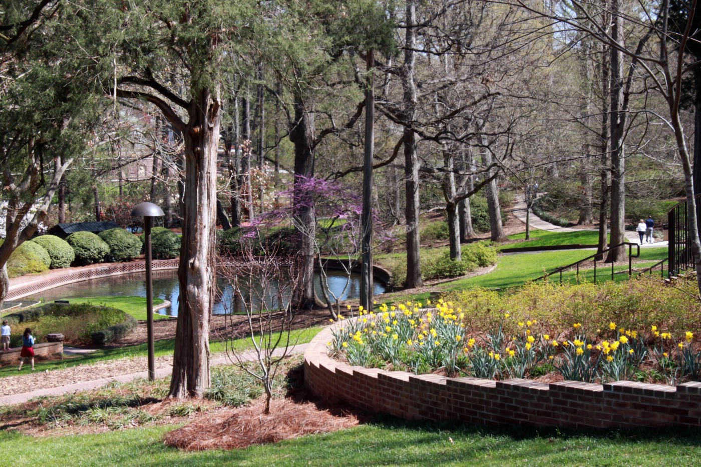 who is dating ross lynch